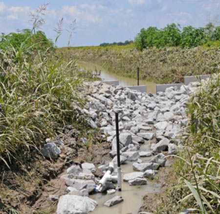 Investigation of denitrifying microbial communities in drainage ditches with low-grade weirs
