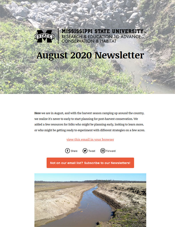 August 2020 Newsletter