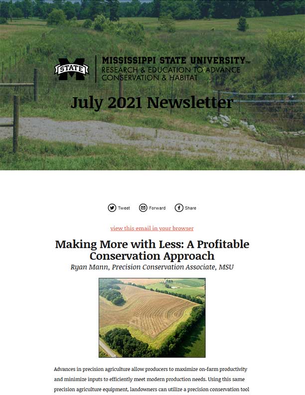 July 2021 Newsletter