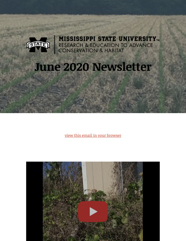 June 2020 Newsletter