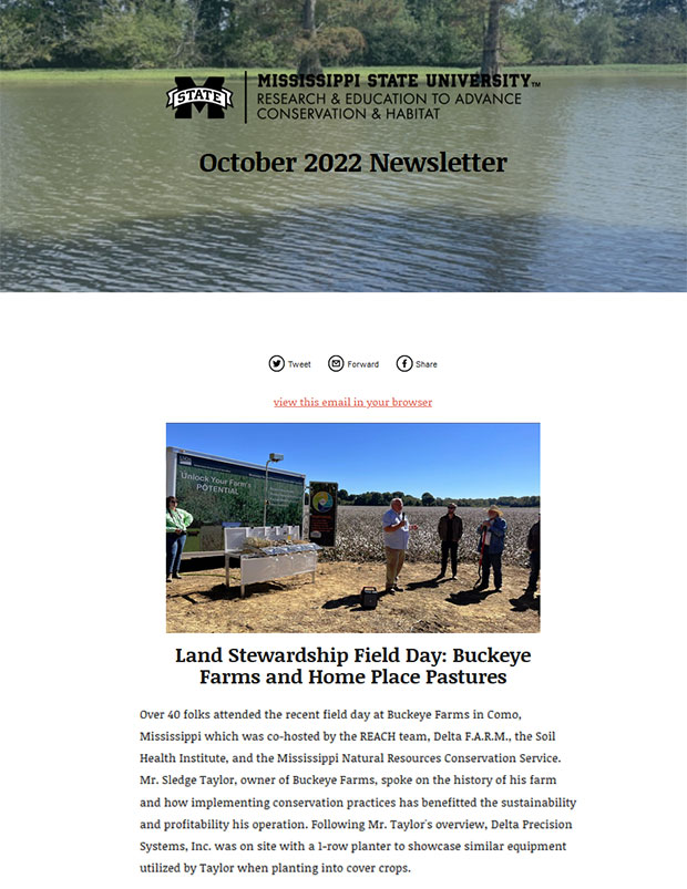 October 2022 Newsletter