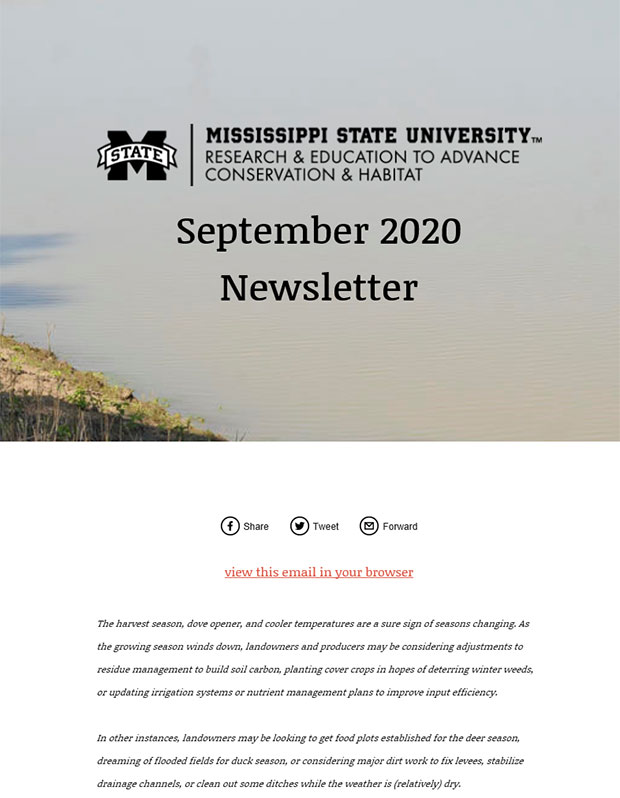 September 2020 Newsletter