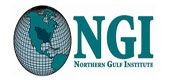 Northern Gulf Institute